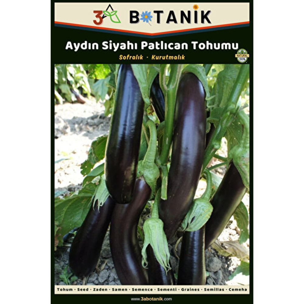 3A Botanik Aydın Siyahı Patlıcan Tohumu, Yerli ve Sürdürülebilir Tohum, 5 Gram Patlıcan Tohumu - 5 gr Tohum Fiyatı