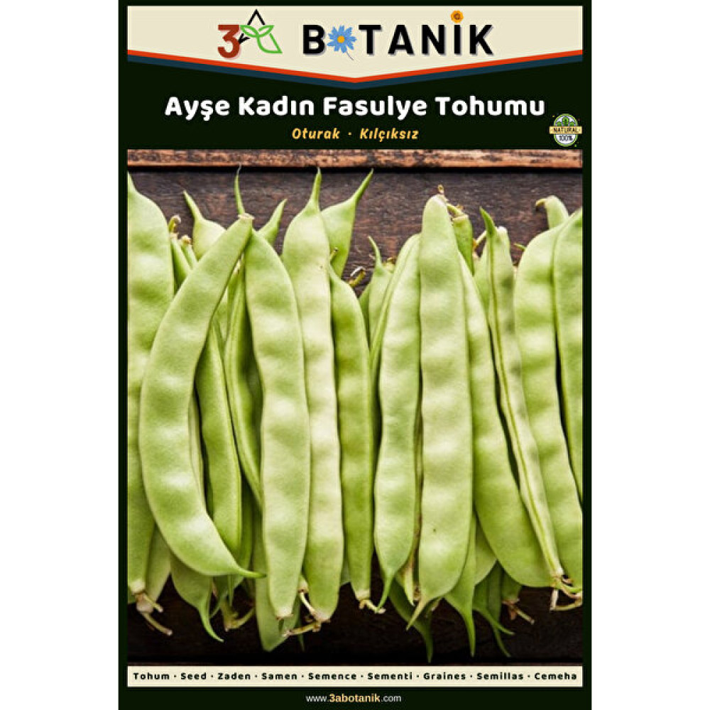 3A Botanik Ayşe Kadın Oturak Fasulye Tohumu, Yerli ve Sürdürülebilir, 10 Gram Fasulye Tohumu - 10 gr Tohum Fiyatı