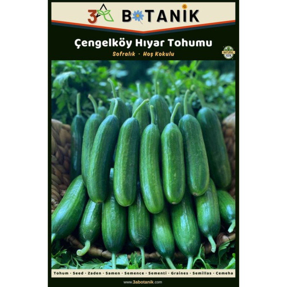 3A Botanik Çengelköy Hıyar (Salatalık) Tohumu, Yerli ve Sürdürülebilir Tohum, 5 Gram Hıyar Tohumu - 5 gr Tohum Fiyatı