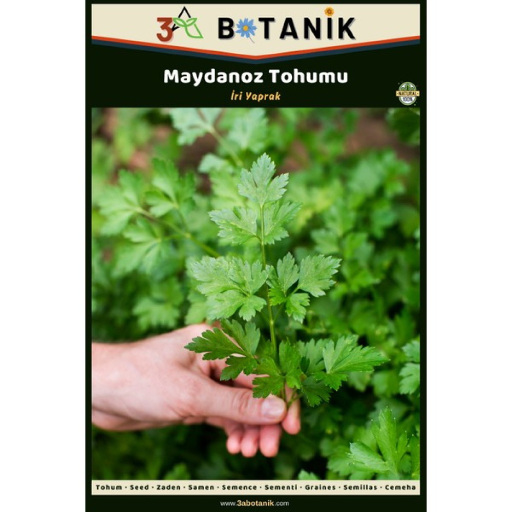 3A Botanik Iri Yaprak Maydanoz Tohumu, Yerli ve Sürdürülebilir Tohum, 5 Gram Maydanoz Tohumu - 5 gr Tohum Fiyatı