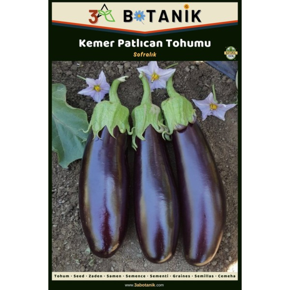 3A Botanik Kemer Patlıcan Tohumu, Yerli ve Sürdürülebilir Tohum, 5 Gram Patlıcan Tohumu - 5 gr Tohum Fiyatı