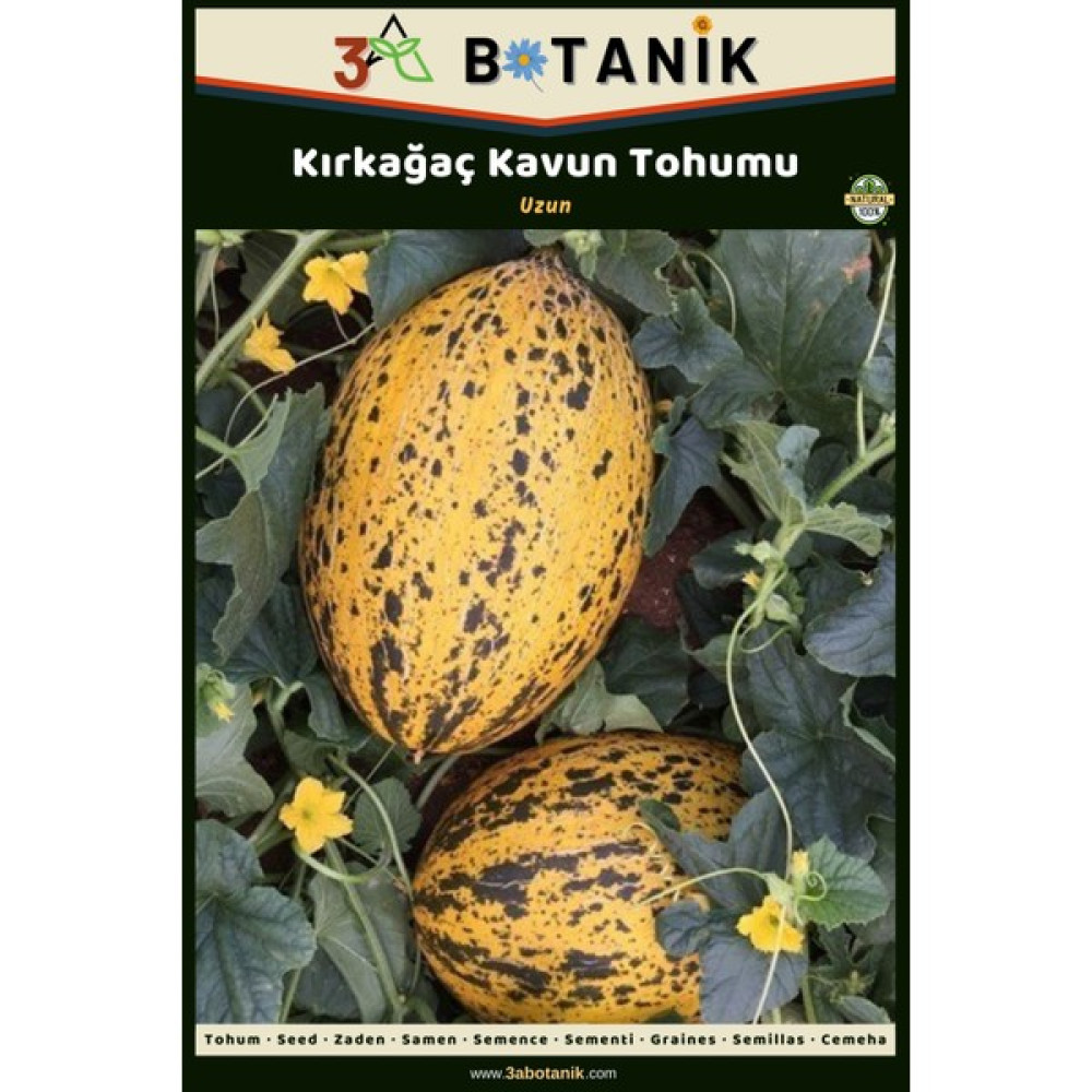 3A Botanik Kırkağaç Kavun Tohumu, Yerli ve Sürdürülebilir Tohum, 5 Gram Kavun Tohumu - 5 gr Tohum Fiyatı