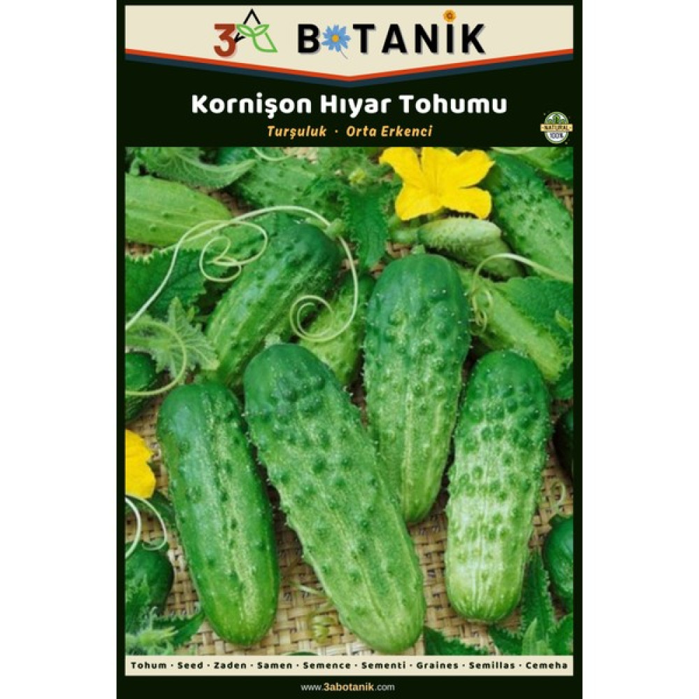 3A Botanik Kornişon Hıyar (Salatalık) Tohumu, Yerli ve Sürdürülebilir Tohum, 2 Gram Hıyar Tohumu - 2 gr Tohum Fiyatı