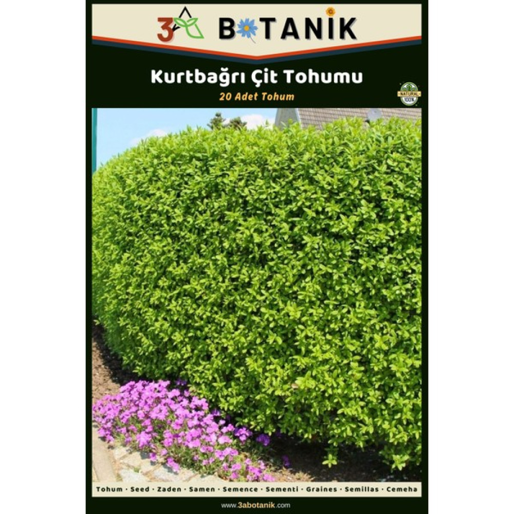 3A Botanik Kurtbağrı Çit Tohumu, 20 Adet Tohum, Ligustrum Tohum Fiyatı