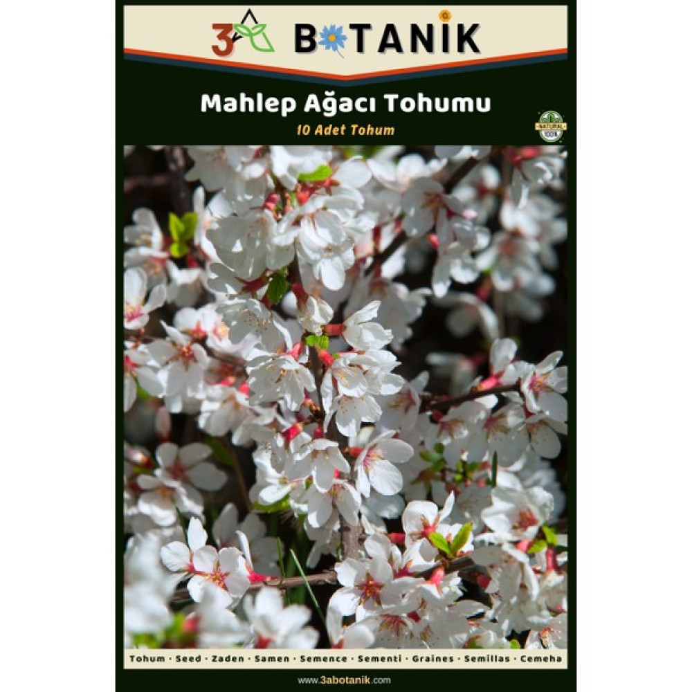 3A Botanik Mahlep Ağacı Tohumu, 5 Adet Tohum, Prunus Mahaleb - 1 gr Tohum Fiyatı