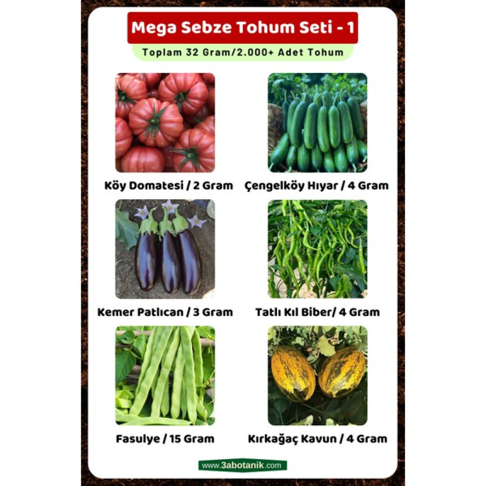 3A Botanik Mega Sebze Tohum Seti - 1, Toplam 32 GRAM/2.000 Adet Sebze Tohumu - 32 gr Tohum Fiyatı