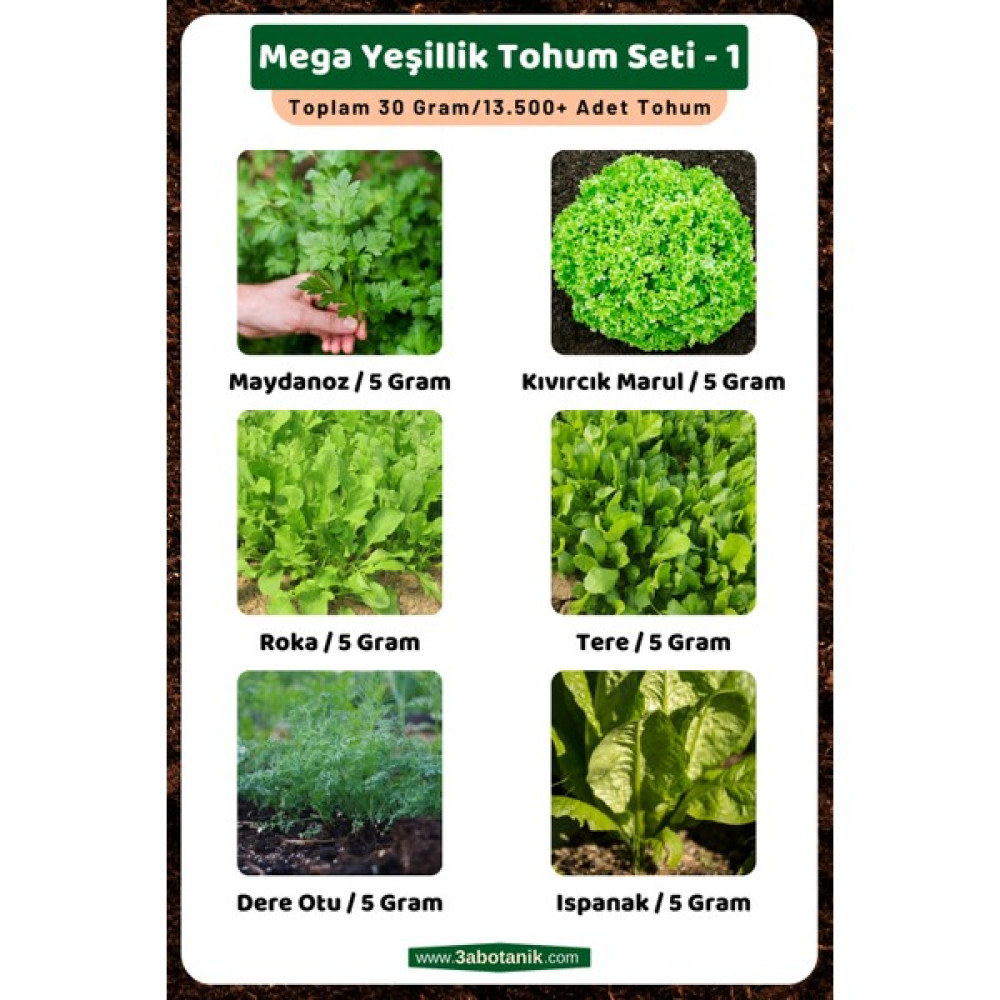3A Botanik Mega Yeşillik Tohum Seti - 1, Toplam 30 GRAM/13.500 Adet Yeşillik Tohumu - 30 gr Tohum Fiyatı