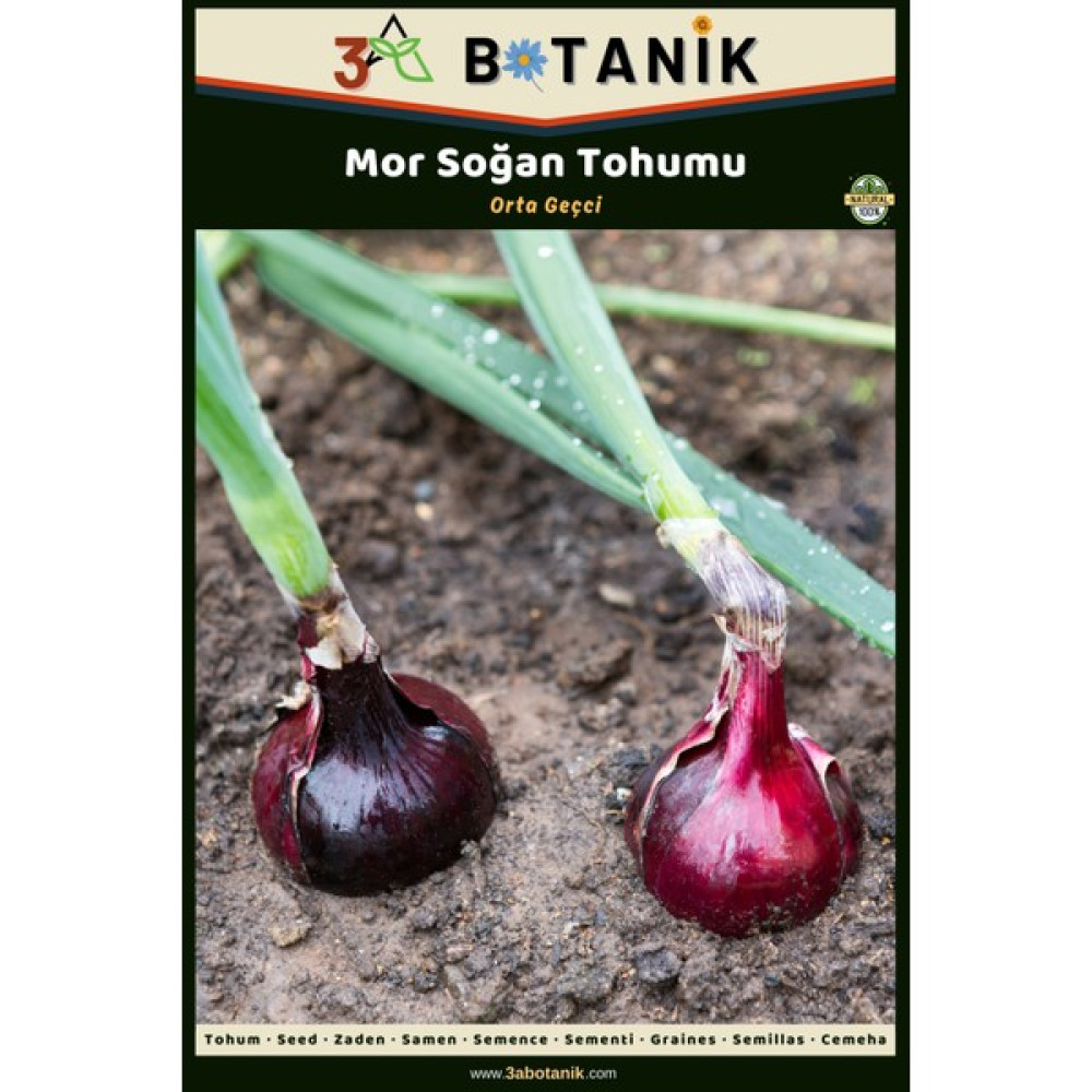 3A Botanik Mor Soğan Tohumu, Yerli ve Sürdürülebilir Tohum, 2 Gram Soğan Tohumu - 2 gr Tohum Fiyatı