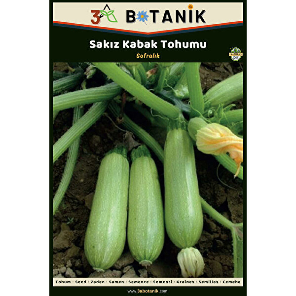 3A Botanik Sakız Kabak Tohumu, Yerli ve Sürdürülebilir Tohum, 10 Gram Kabak Tohumu - 10 gr Tohum Fiyatı