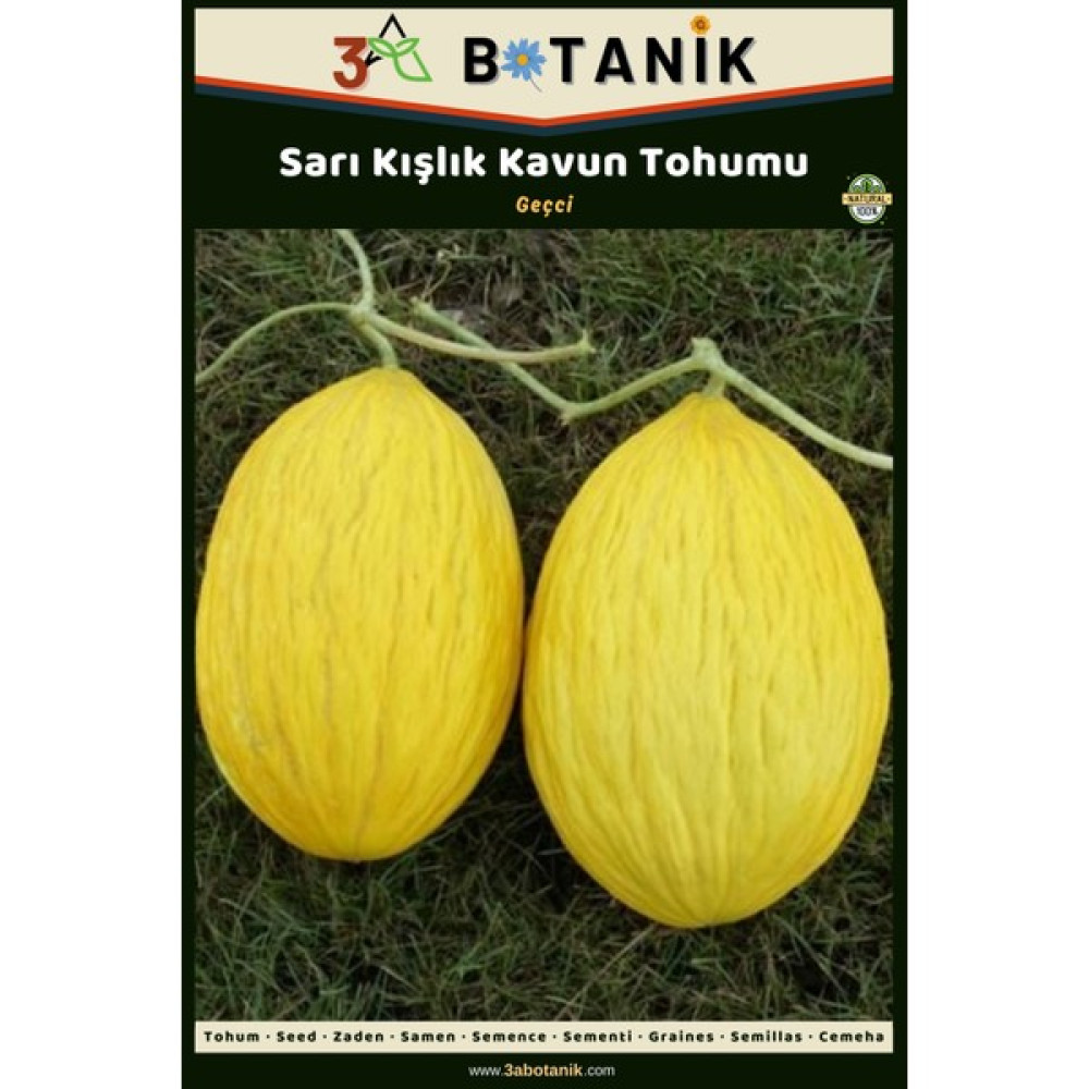 3A Botanik Sarı Kışlık Kavun Tohumu, Yerli ve Sürdürülebilir Tohum, 5 Gram Kavun Tohumu - 5 gr Tohum Fiyatı