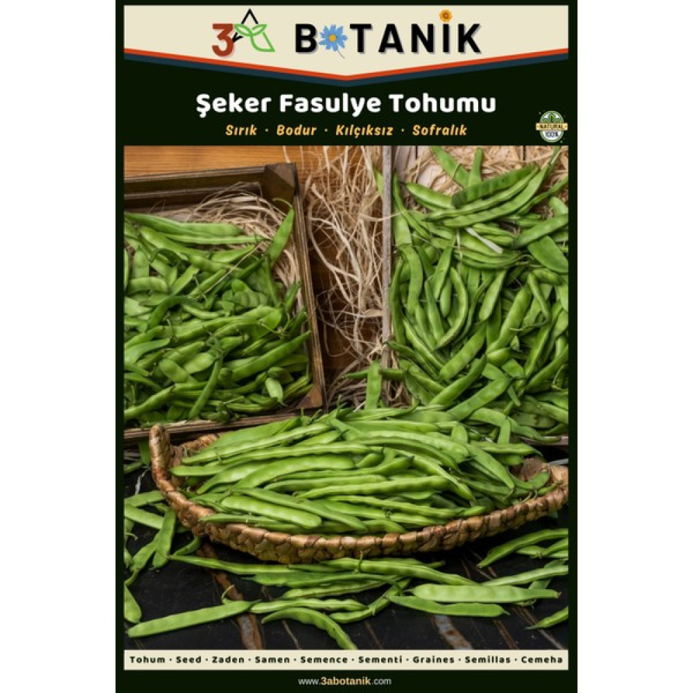 3A Botanik Şeker Sırık Fasulye Tohumu, Yerli ve Sürdürülebilir Tohum, 10 Gram Fasulye Tohumu - 10 gr Tohum Fiyatı