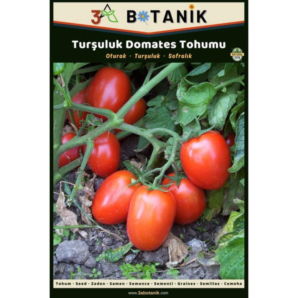 3A Botanik Turşuluk Domates Tohumu, Yerli ve Sürdürülebilir Tohum, 3 Gram Domates Tohumu - 3 gr Tohum Fiyatı