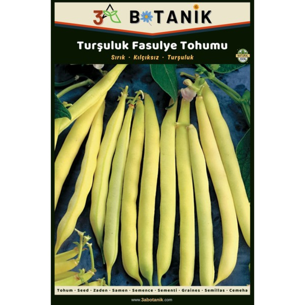 3A Botanik Turşuluk Sırık Fasulye Tohumu, Yerli ve Sürdürülebilir Tohum, 10 Gram Fasulye Tohumu - 10 gr Tohum Fiyatı