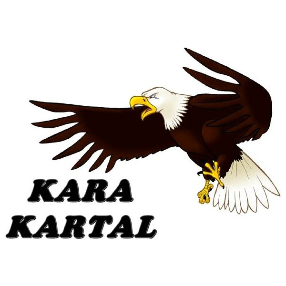 3A Kara Kartal Temalı Yenilebilir Resimli Pasta Kurabiye Üstü Şeker Kağıt Baskısı - Beyaz Fotokopi Kağıdı Fiyatı