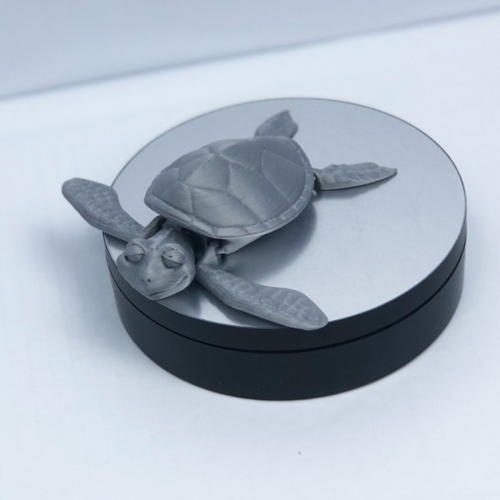 3D Hareketli Kaplumbağa Figürlü Oyuncak - Gri Oto Boyaları Fiyatı