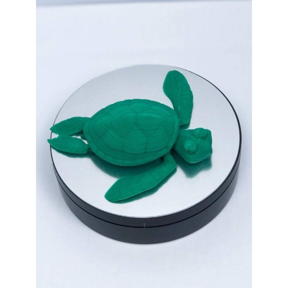 3D Hareketli Kaplumbağa Figürlü Oyuncak - Yeşil Oto Boyaları Fiyatı