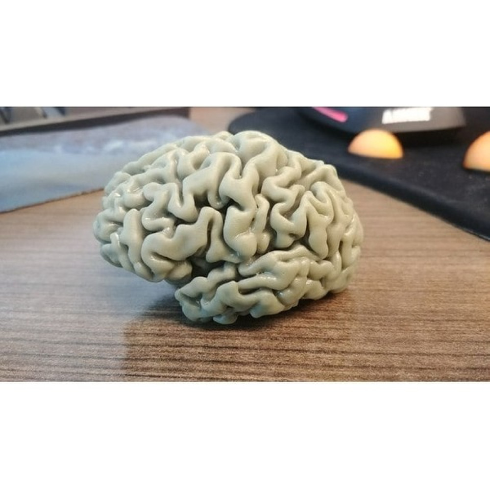 3duman Beyin Figürü Beyaz 10 x 15 cm Aksiyon Figürleri Fiyatı
