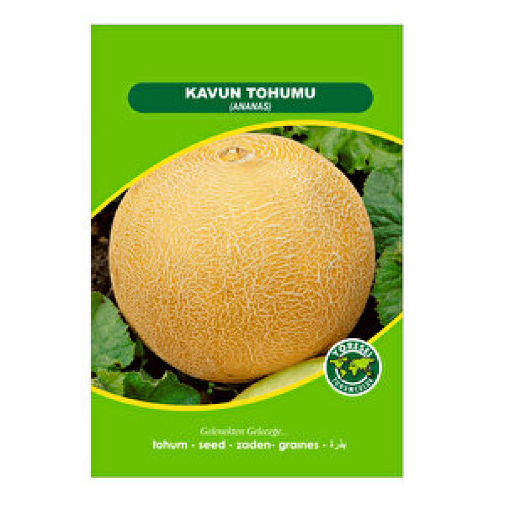 3K Ananas Kavun Tohum Fiyatı