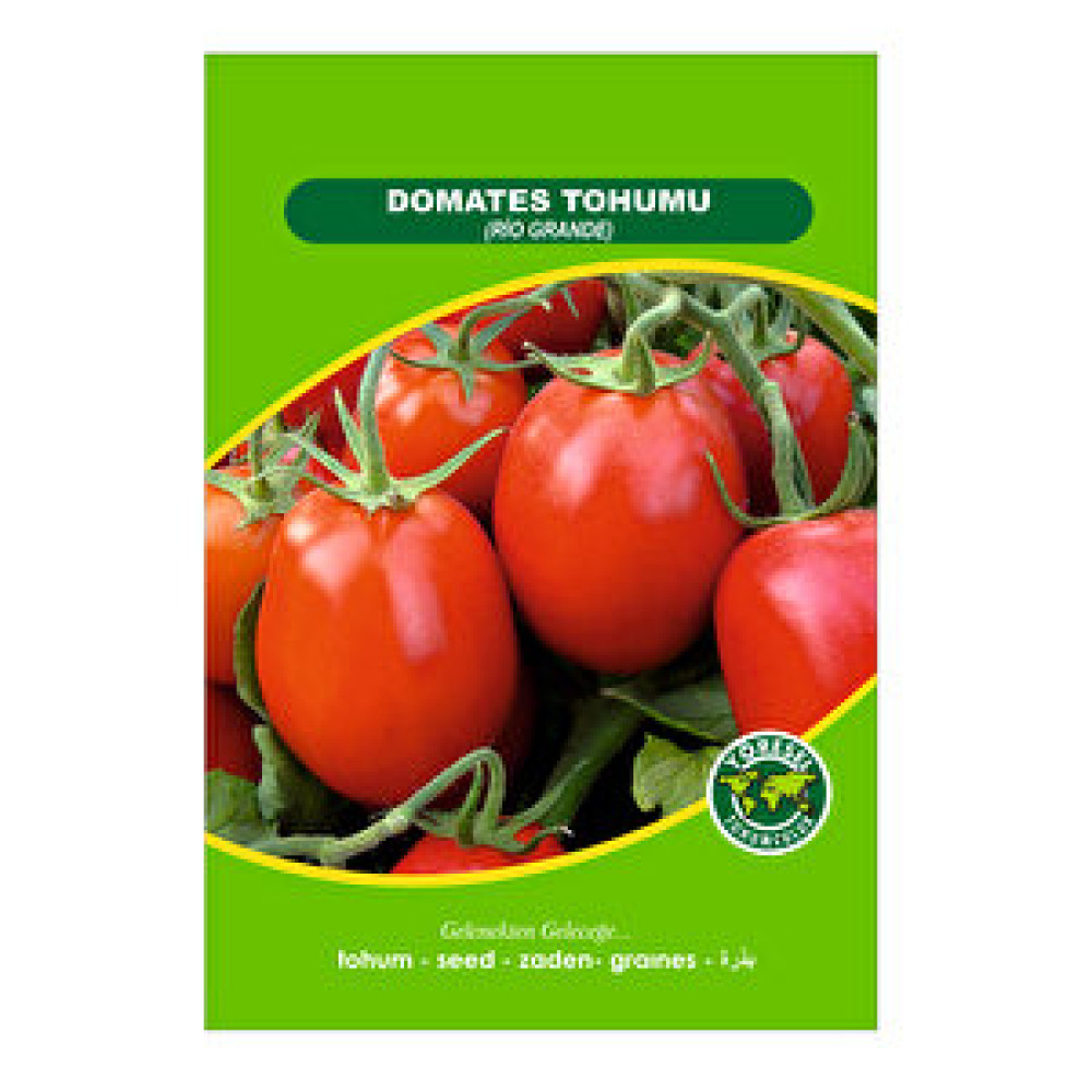 3K Domates Rio Grande Tohum Fiyatı