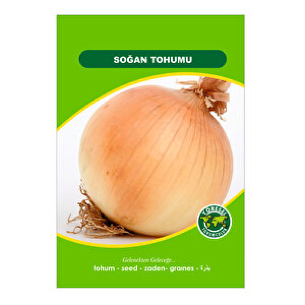 3K Soğan Tohum Fiyatı