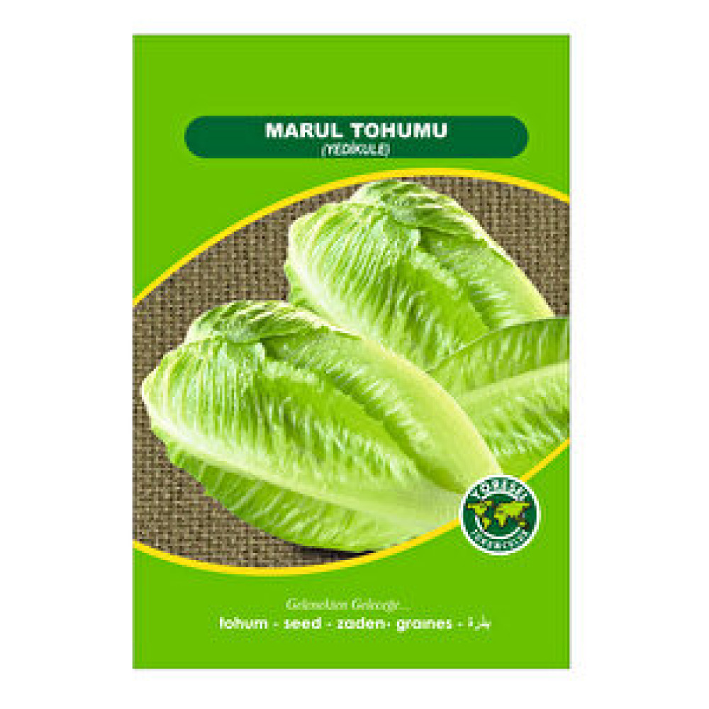 3K Yedikule Marul Tohum Fiyatı