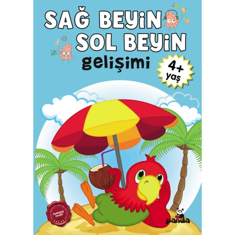4 Yaş Sağ Beyin-Sol Beyin Gelişimi Diğer Fiyatı