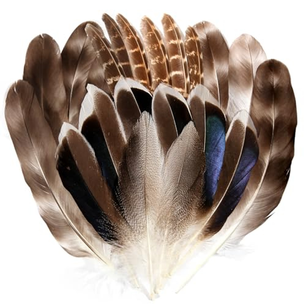 40pcs Natural Turkey Feathers,Pheasant Feathers,Duck Feathers,Spotted Feathers,4 Styles Feathers for DIY handicrafts,Such as Feather Masks, Dream Catchers，Feather Hats，Mardi Gras Decorations