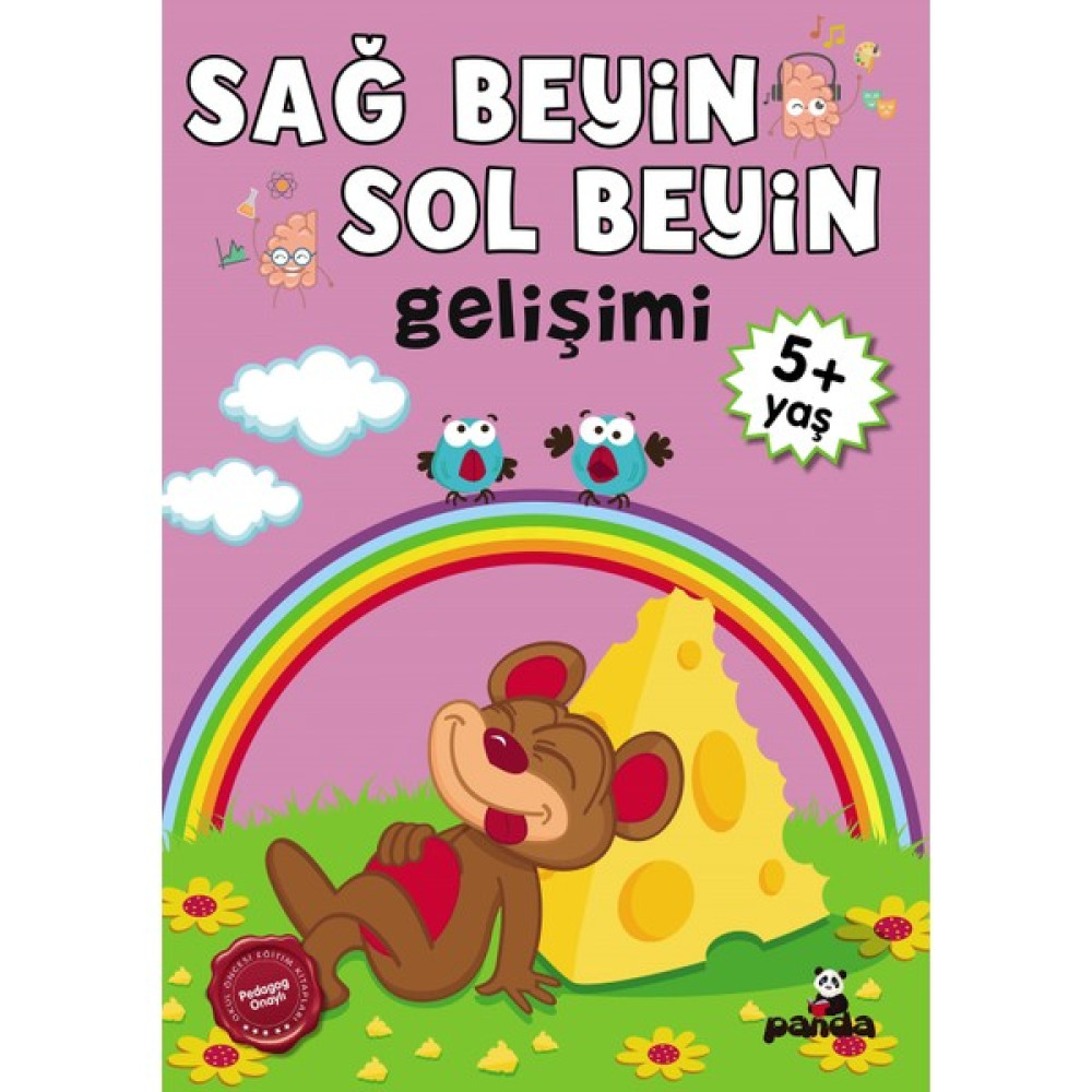 5 Yaş Sağ Beyin-Sol Beyin Gelişimi Zihinsel Gelişim Kitapları Fiyatı