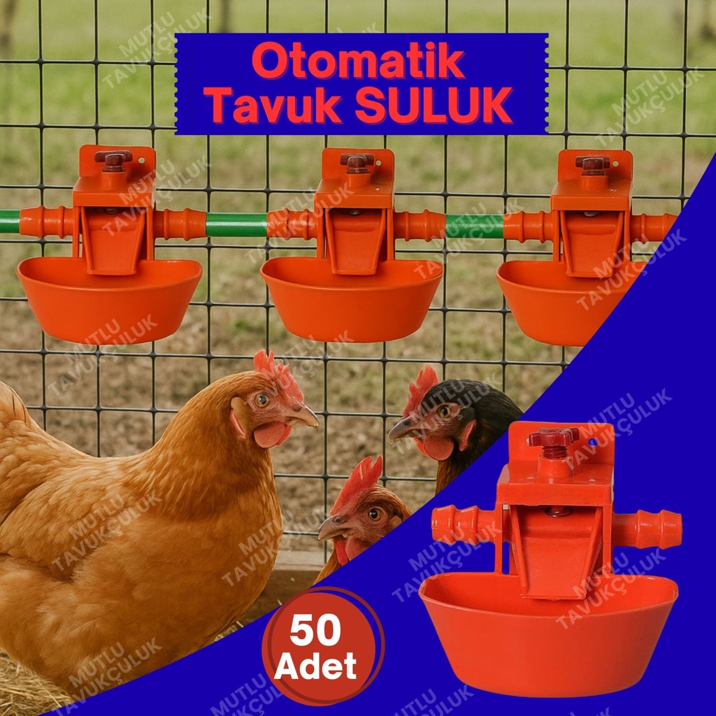 50 Adet Otomatik Suluk Tavuk Suluğu Civciv Güvercin Bıldırcın Sülün Muhabbet Kuşu Keklik Ördek Hindi - Beyaz - Kırmızı Evcil Hayvan Ürünleri Fiyatı