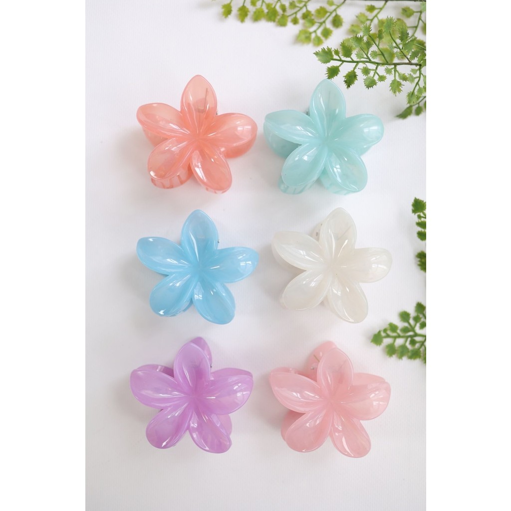 6 Adet Buzlu Lotus Kadın Toka Seti Büyük Boy 8 cm - Çok Renkli Diğer Fiyatı