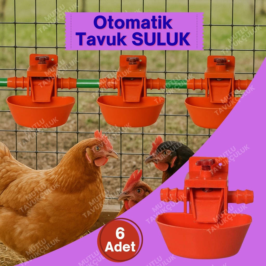 6 Adet Otomatik Suluk Tavuk Suluğu Civciv Güvercin Bıldırcın Sülün Muhabbet Kuşu Keklik Ördek Hindi - Beyaz - Kırmızı Evcil Hayvan Ürünleri Fiyatı