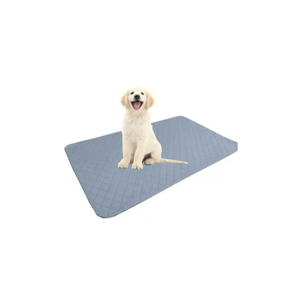 A Cadal Sıvı Geçirmez Kedi Köpek Çiş Pedi Evcil Hayvan Ürünleri Fiyatı