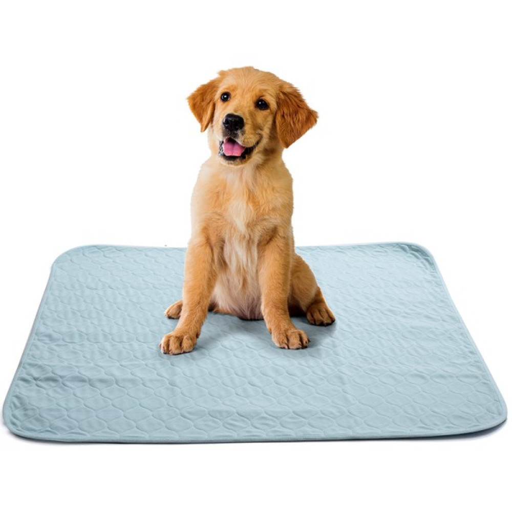 Abso 4 Katlı Yıkanabilir Emici Koku Yapmaz Köpek Çiş Pedi 75 x 85 cm - Yeşil Evcil Hayvan Ürünleri Fiyatı