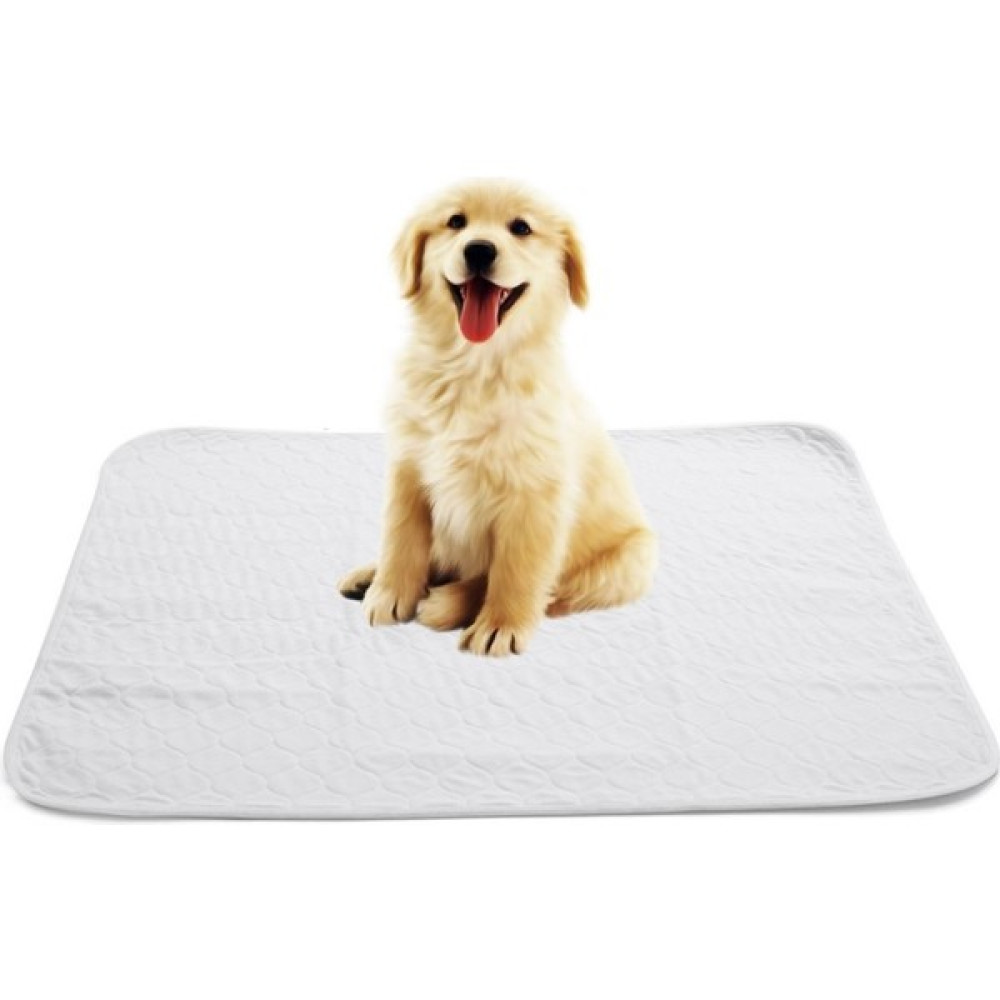Abso Yıkanabilir Kedi Köpek Çiş Pedi 75X85 cm (Beyaz) Evcil Hayvan Ürünleri Fiyatı