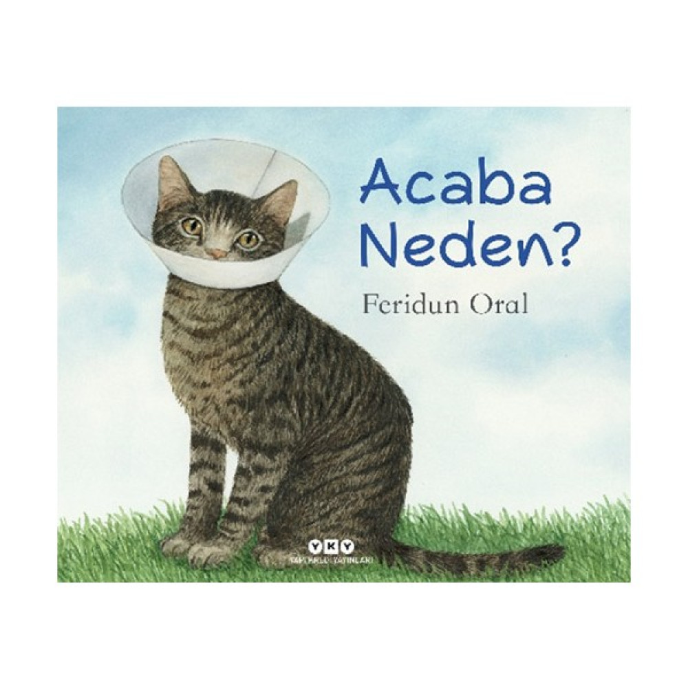 Acaba Neden - Feridun Oral Çocuk Öykü Fiyatı