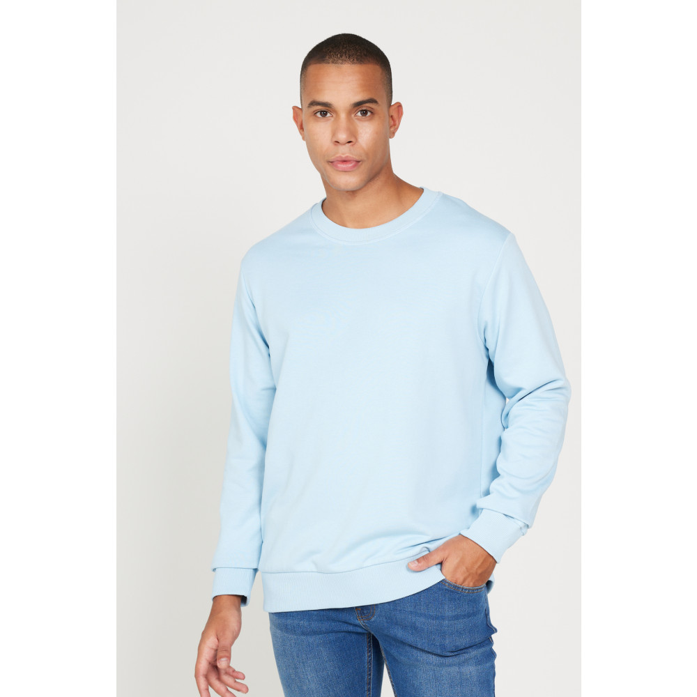 AC&Co / Altınyıldız Classics Erkek Açık Mavi Standart Fit Normal Kesim Bisiklet Yaka 3 Iplik Pamuklu Sweatshirt L Beden Bayan Sweatshirt Fiyatı