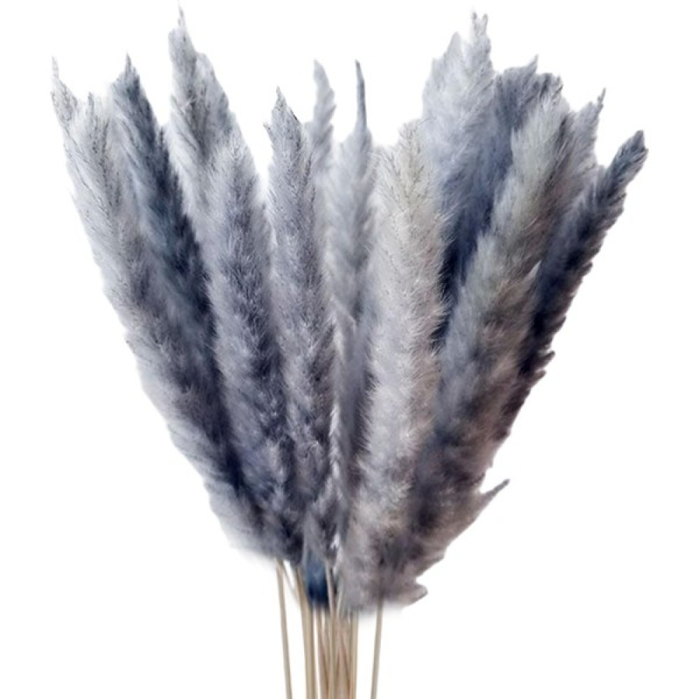 Acelit 15PCS Kurutulmuş Pampas Çim Phragmites Kamış Çiçeği Için Çiçek Aranjman (Yurt Dışından) - Renkli Ev & Dekorasyon Aksesuarları Fiyatı