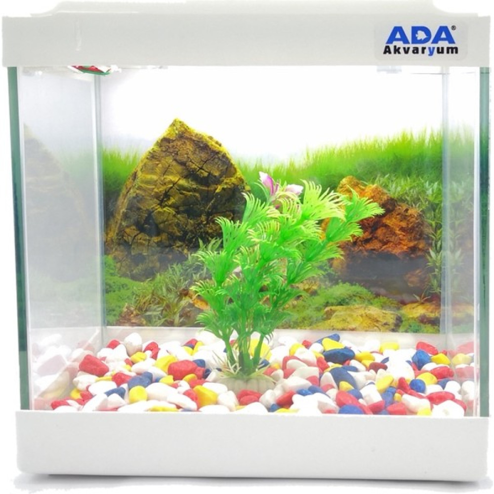 Ada Akvaryum Mini Akvaryum Beyaz 20X20X15 Akvaryum Renkli Çakıl Plastik Bitki Arka Fon Evcil Hayvan Ürünleri Fiyatı