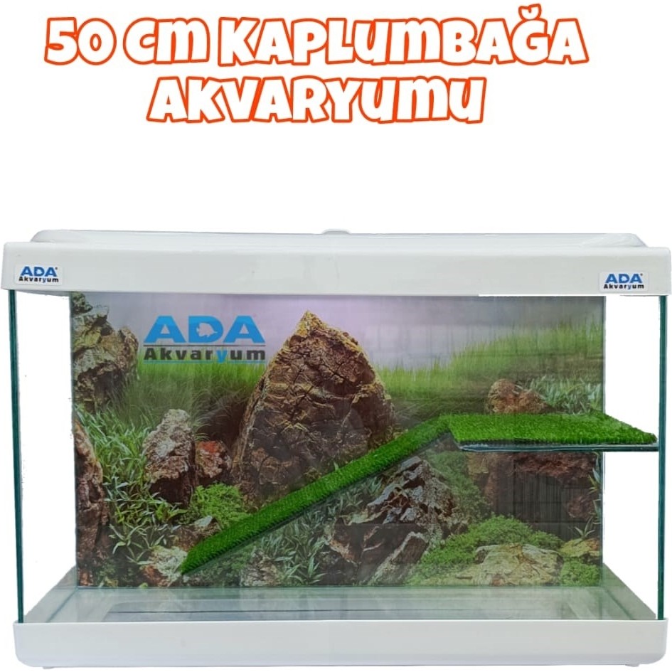Ada Akvaryum Su Kaplumbağası Akvaryumu Bahçeli Rampalı Dinlenme 50X30X20 cm Arka Plan Hediyeli Evcil Hayvan Ürünleri Fiyatı