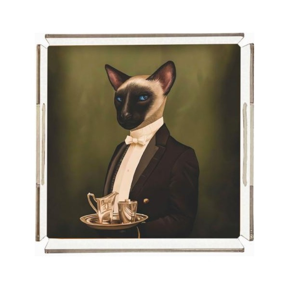 Adahome Mr. Cat Pleksi Tepsi - 25X25CM Servis Tepsisi Fiyatı