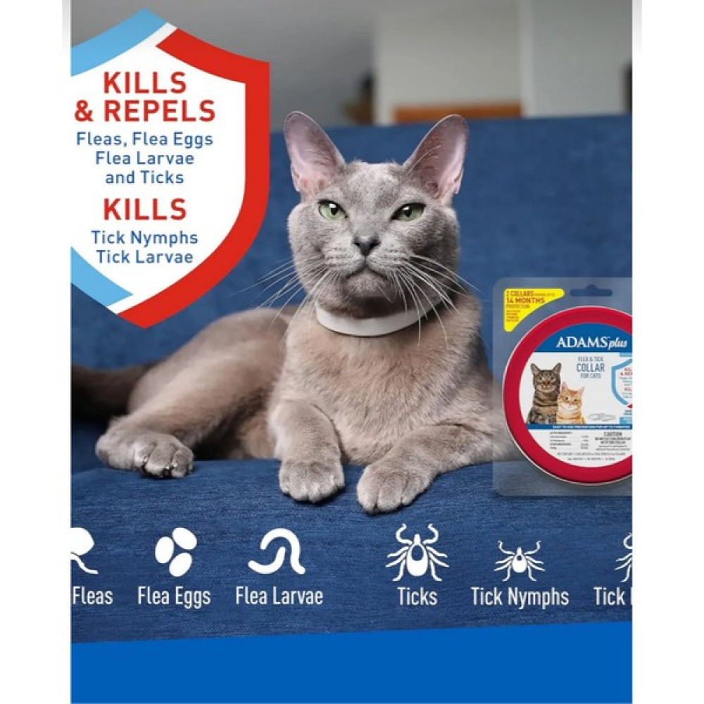 Adams Kedi Pire ve Kene Tasması Evcil Hayvan Ürünleri Fiyatı