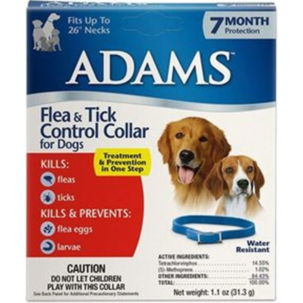 Adams Köpek Tasması Evcil Hayvan Ürünleri Fiyatı