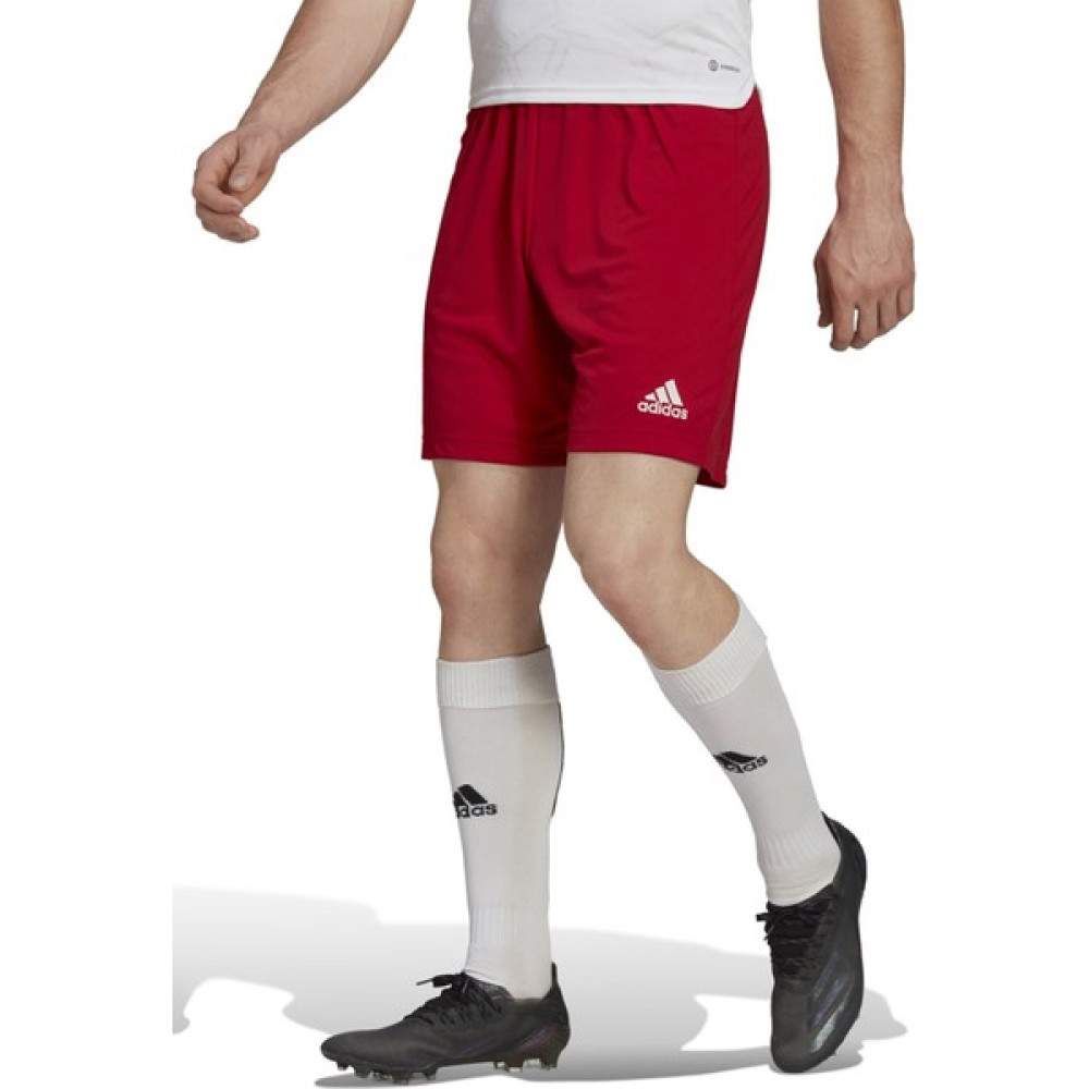adidas Entrada 22 Şort Kırmızı Erkek Şort Şort & Kapri (Outdoor) Fiyatı