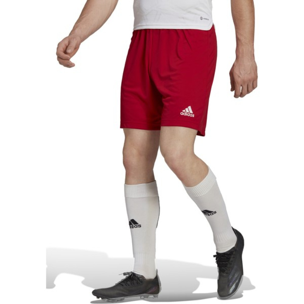 Adidas Normal Kırmızı Erkek Şort H61735 ENT22 Sho Şort & Kapri (Outdoor) Fiyatı