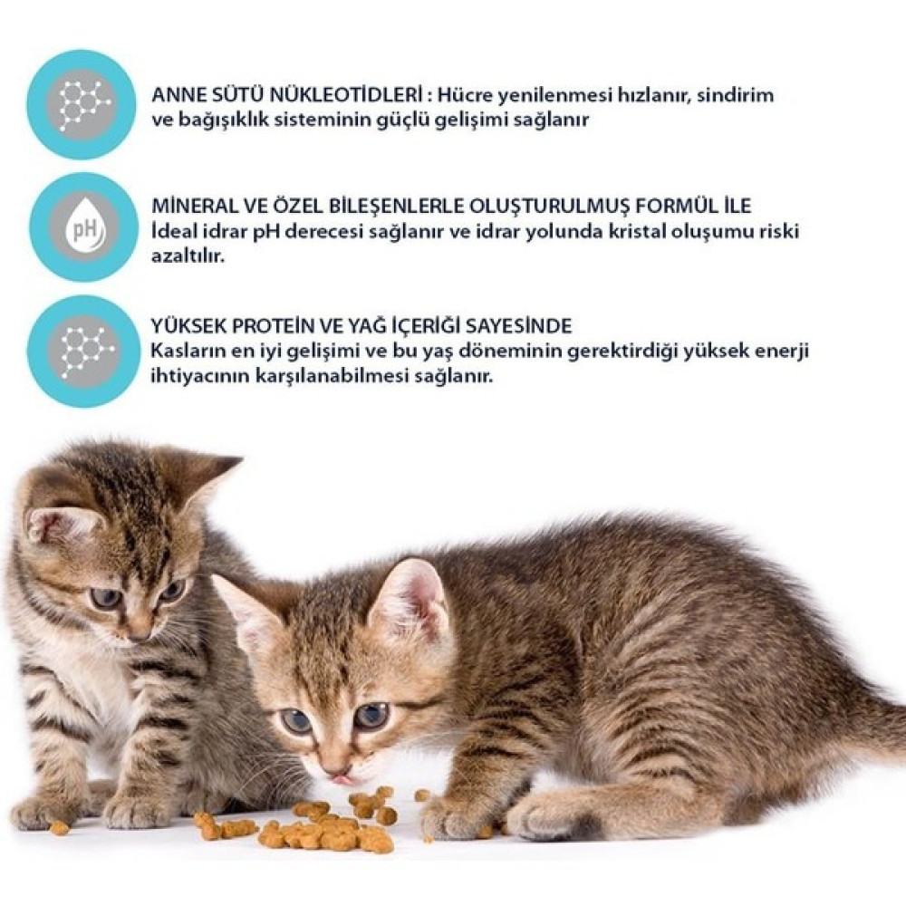 Advance Cat Kitten 400+400 G Evcil Hayvan Ürünleri Fiyatı