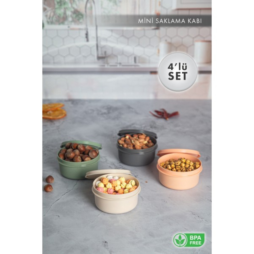 Aes Home Çok Amaçlı 4'Lü Mini Saklama Kabı 0.28 Lt X 4 Adet Saklama Kapları Fiyatı