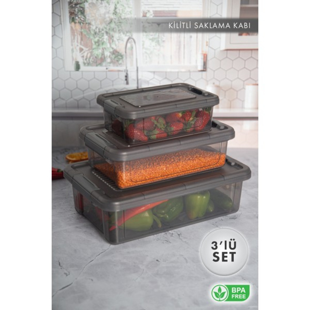 Aes Home Infinity Çok Amaçlı Kilitli Saklama Kabı Antrasit 1.5 Lt x 1 Adet - 3 Lt x 1 Adet -6 Lt x 1 Adet(3 'lü Set) Oto Boyaları Fiyatı