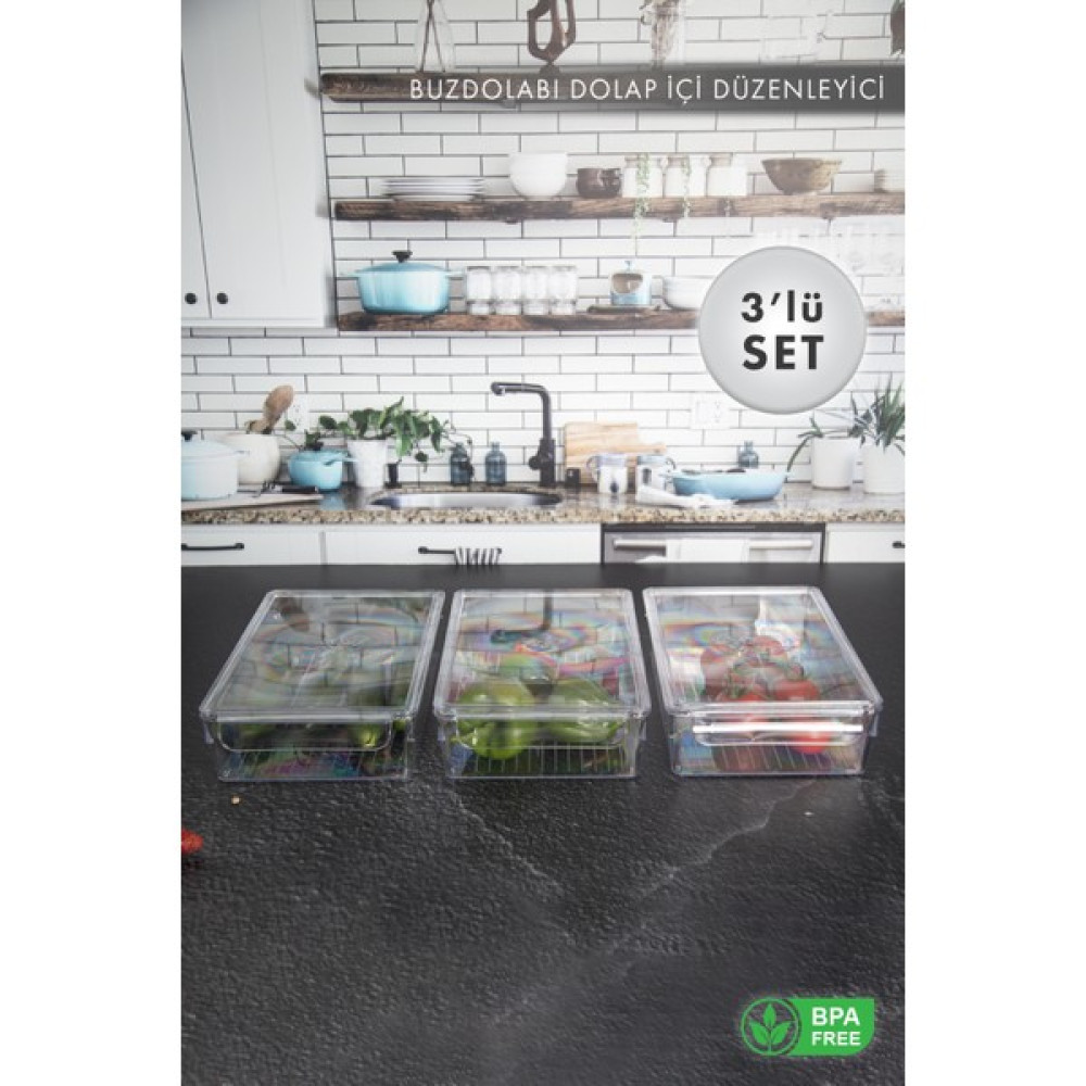 Aes Home Mini Boy Buzdolabı Için Düzenleyici_organizer Küçük Boy Şeffaf (Kapaklı) Oto Boyaları Fiyatı