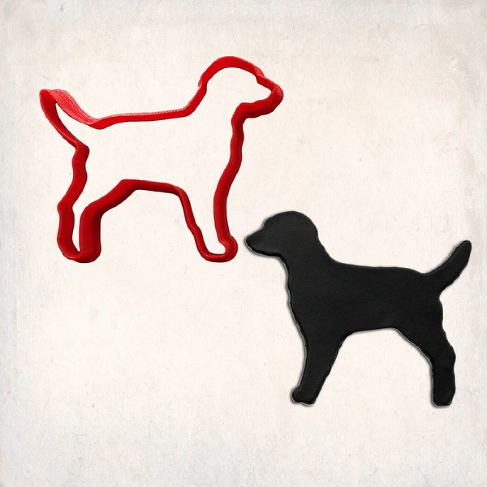 Agn Store Köpek Kurabiye Kalıbı Şekillendirici Kopat Kek Kalıpları Fiyatı