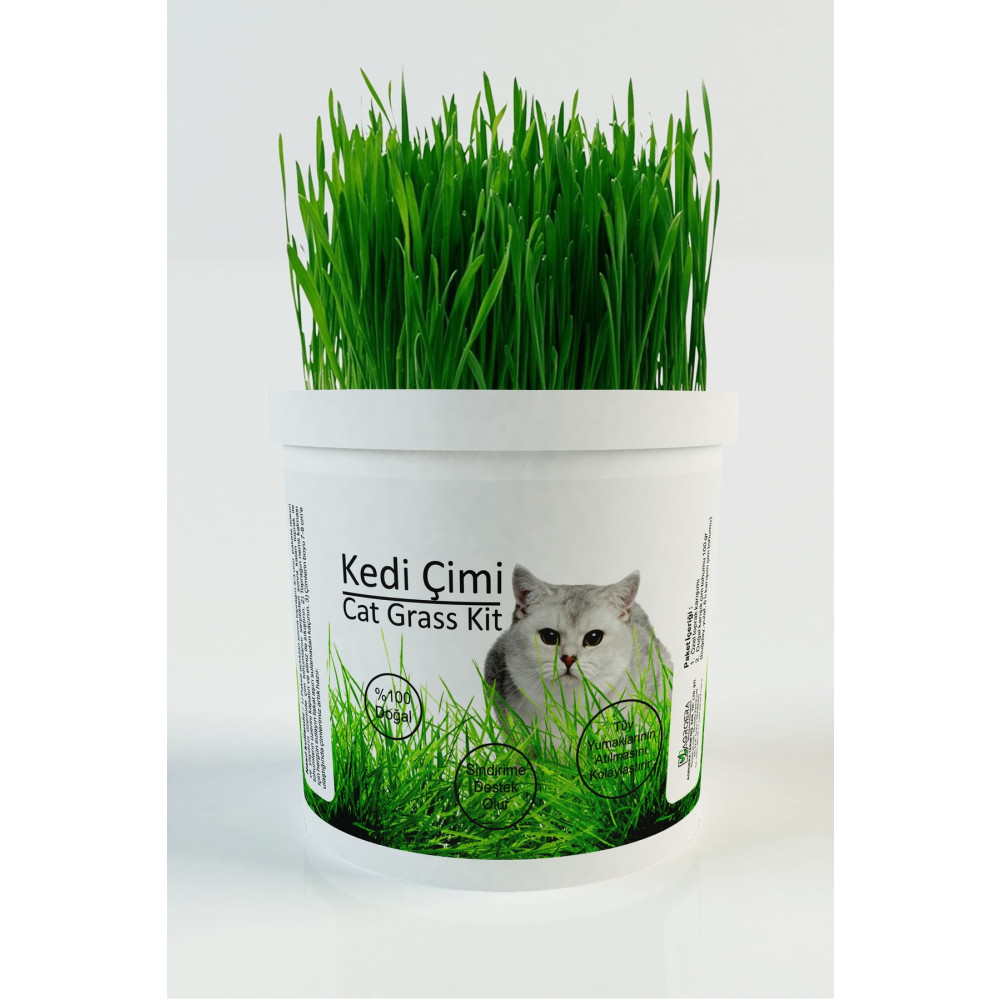 AGROERA %100 Doğal Kedi Çimi (tüy Yumağı Önleyici) Evcil Hayvan Ürünleri Fiyatı